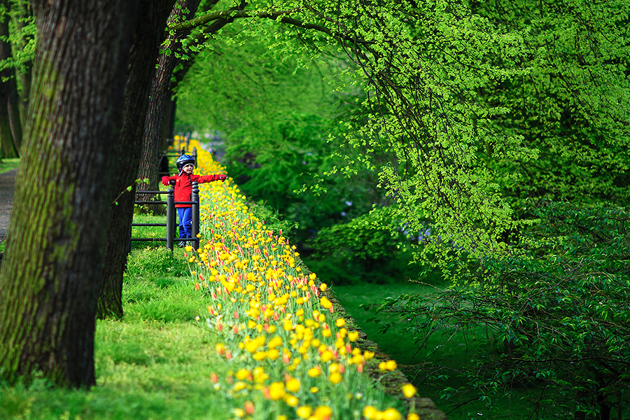 Fotokurs Nikon Digitalkamera in Osnabrück