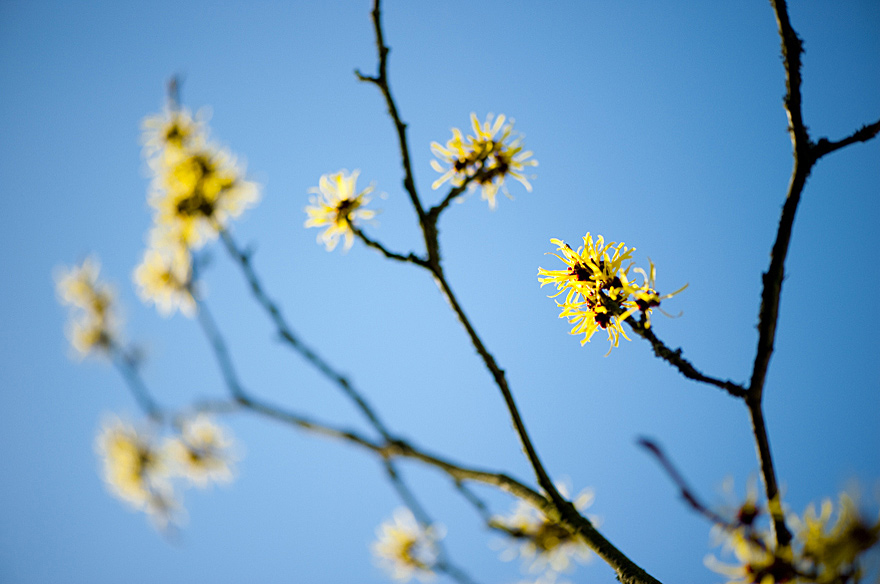 naturfotografie-03