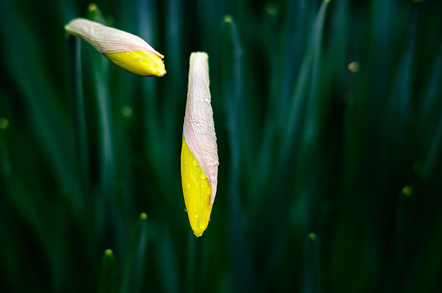 naturfotografie-05