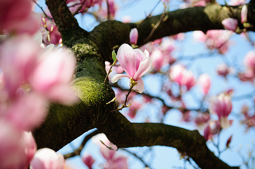 naturfotografie-08