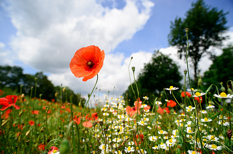 naturfotografie-09