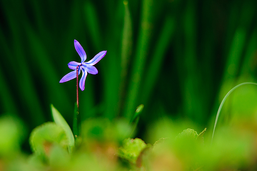 naturfotografie-20