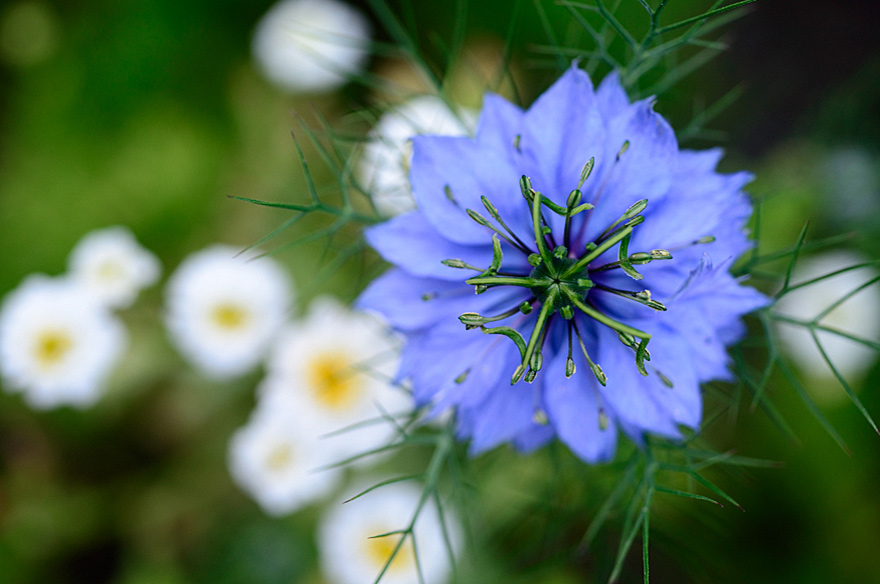 naturfotografie-21